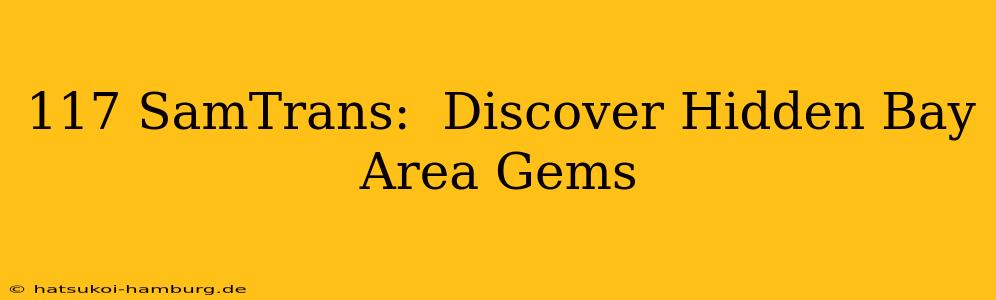 117 SamTrans:  Discover Hidden Bay Area Gems