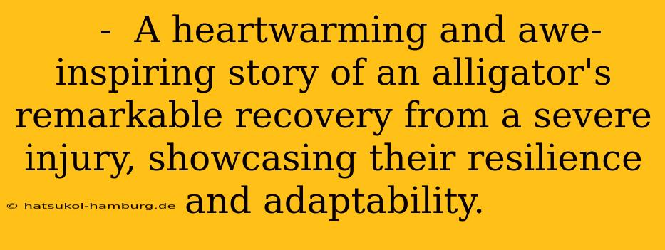    -  A heartwarming and awe-inspiring story of an alligator's remarkable recovery from a severe injury, showcasing their resilience and adaptability.