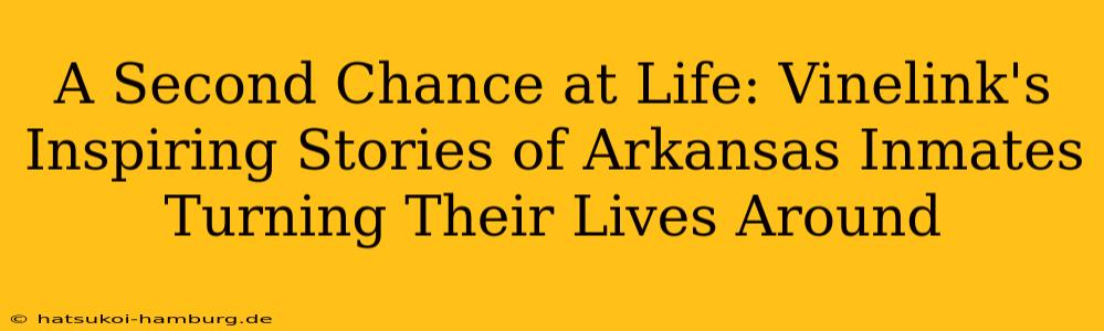 A Second Chance at Life: Vinelink's Inspiring Stories of Arkansas Inmates Turning Their Lives Around