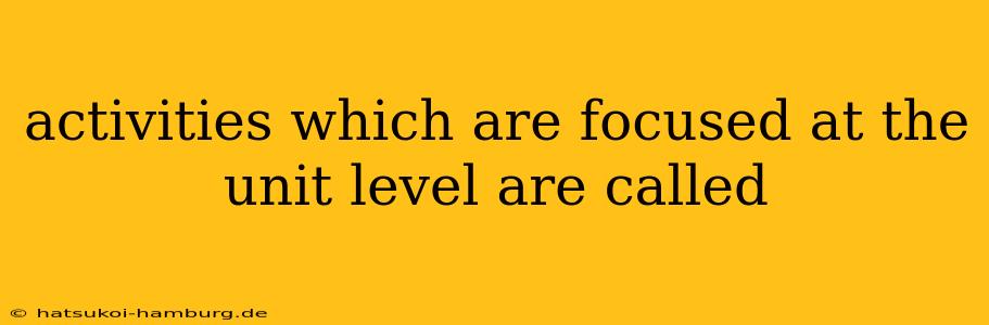 activities which are focused at the unit level are called