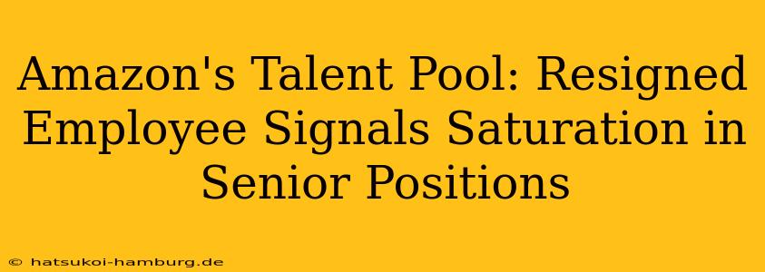 Amazon's Talent Pool: Resigned Employee Signals Saturation in Senior Positions