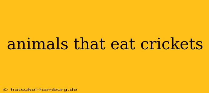 animals that eat crickets