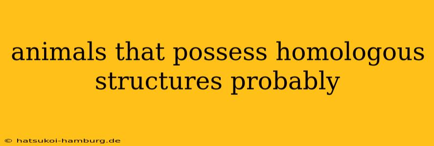 animals that possess homologous structures probably