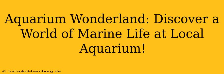 Aquarium Wonderland: Discover a World of Marine Life at Local Aquarium!