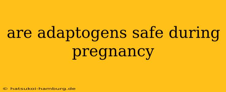 are adaptogens safe during pregnancy