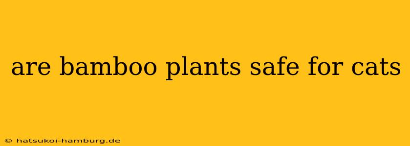 are bamboo plants safe for cats