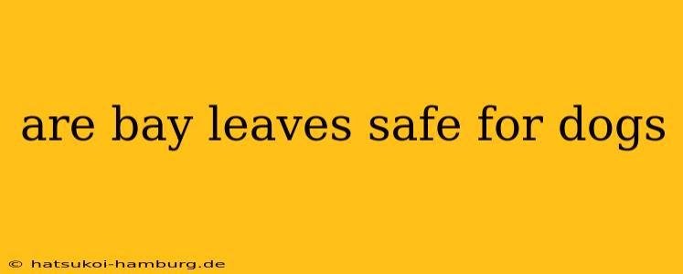 are bay leaves safe for dogs