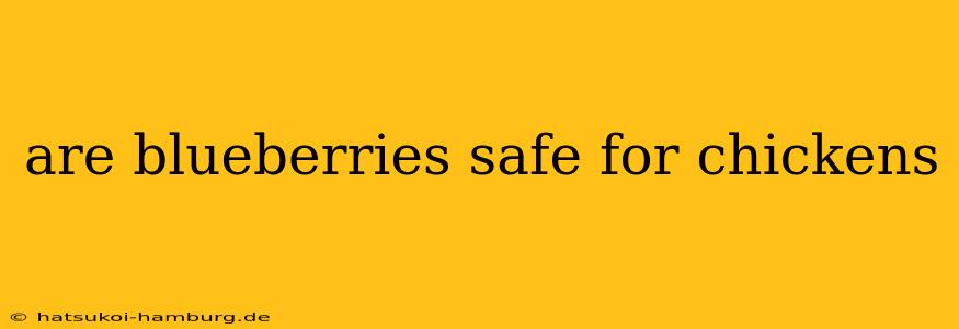 are blueberries safe for chickens