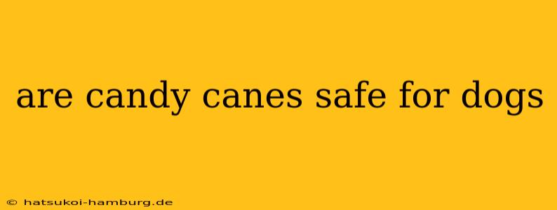 are candy canes safe for dogs