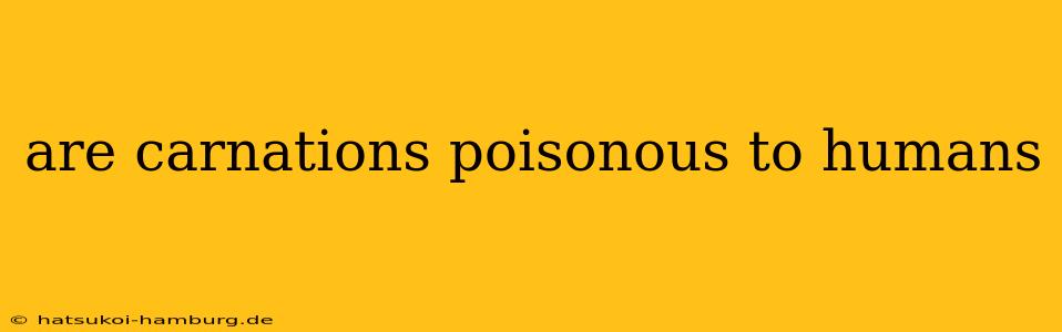 are carnations poisonous to humans