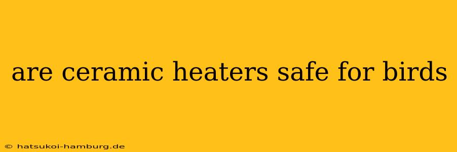 are ceramic heaters safe for birds
