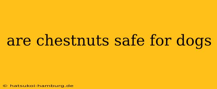 are chestnuts safe for dogs