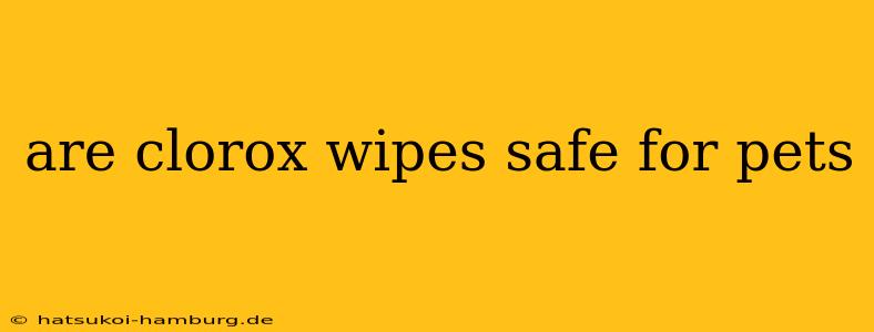 are clorox wipes safe for pets