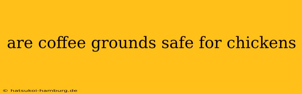 are coffee grounds safe for chickens