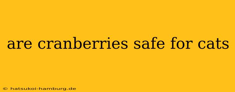 are cranberries safe for cats