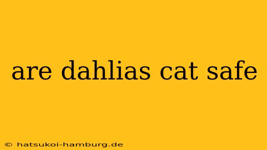 are dahlias cat safe