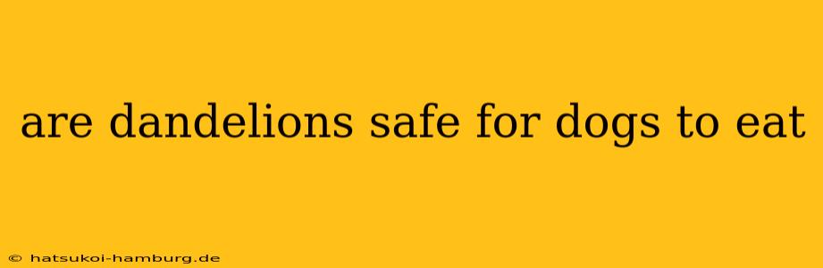are dandelions safe for dogs to eat