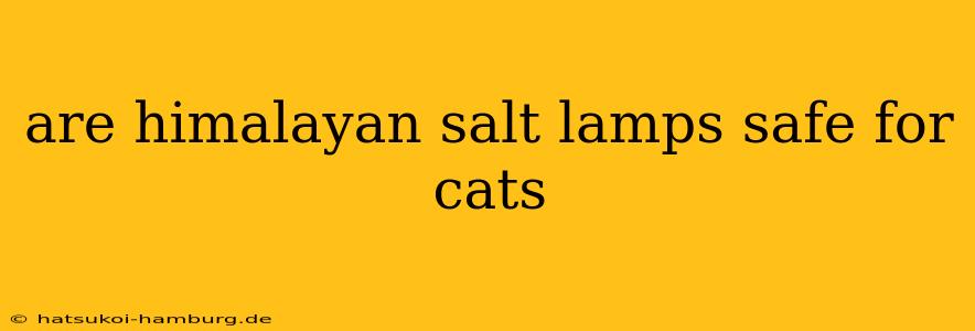 are himalayan salt lamps safe for cats