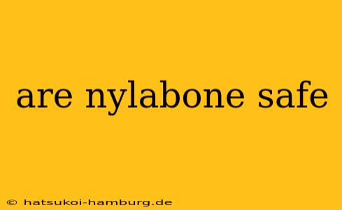 are nylabone safe