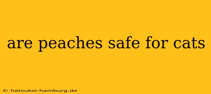 are peaches safe for cats