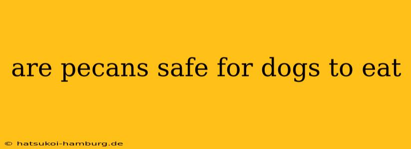 are pecans safe for dogs to eat