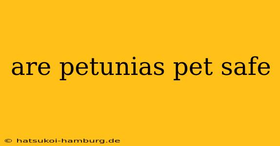 are petunias pet safe