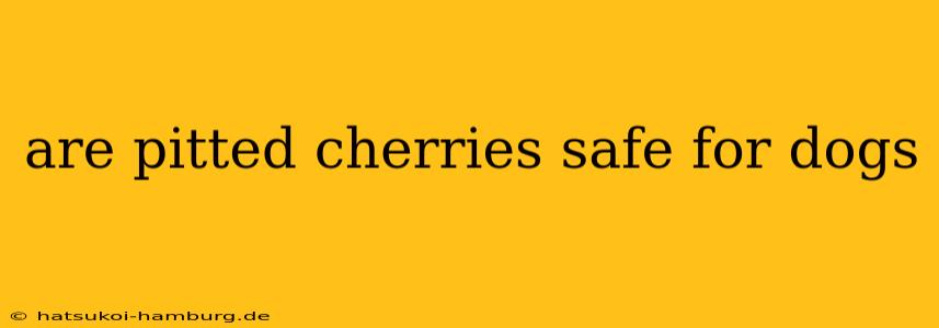 are pitted cherries safe for dogs