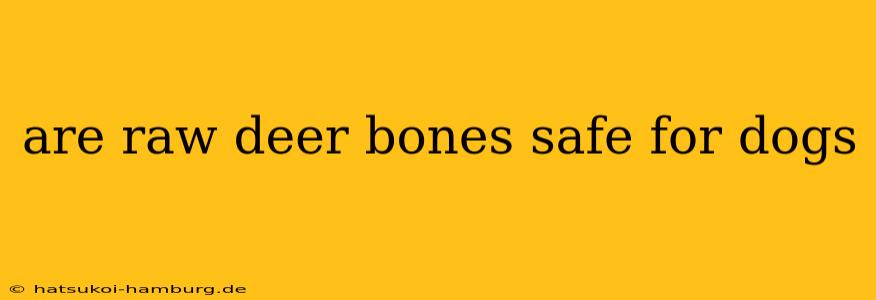are raw deer bones safe for dogs