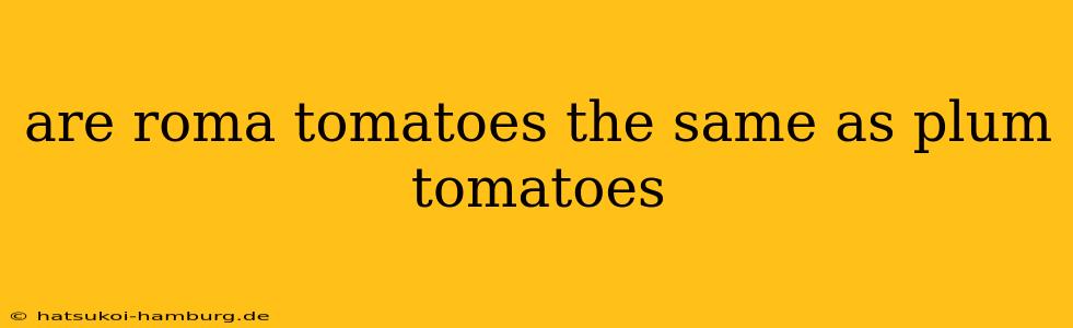 are roma tomatoes the same as plum tomatoes