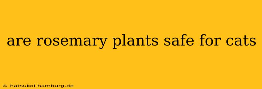are rosemary plants safe for cats