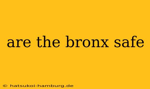 are the bronx safe