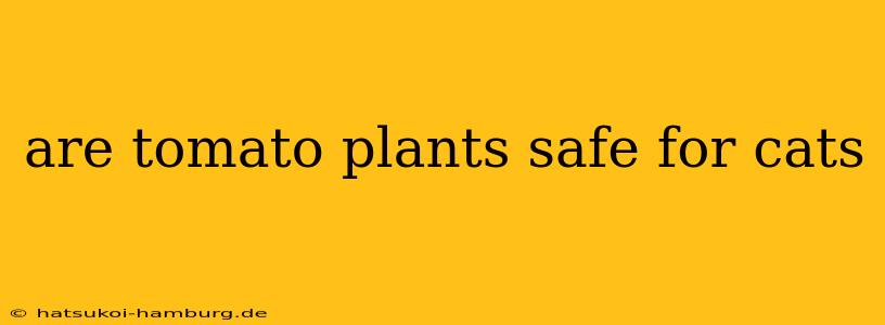 are tomato plants safe for cats