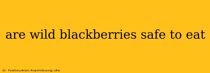 are wild blackberries safe to eat