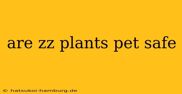 are zz plants pet safe