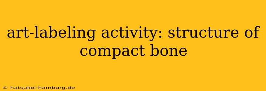 art-labeling activity: structure of compact bone