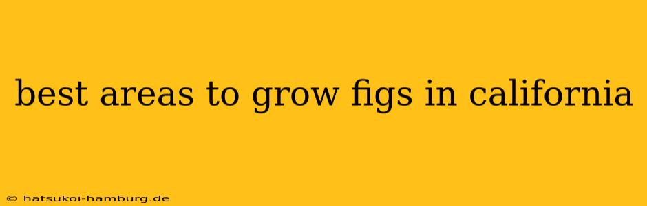 best areas to grow figs in california