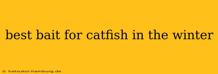 best bait for catfish in the winter