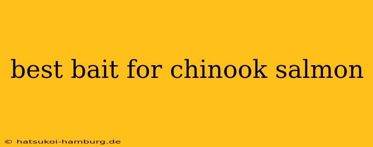 best bait for chinook salmon