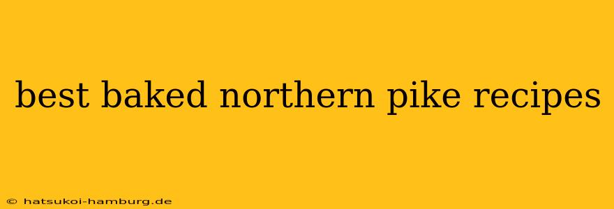 best baked northern pike recipes