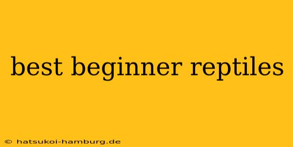 best beginner reptiles