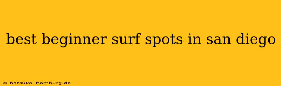 best beginner surf spots in san diego