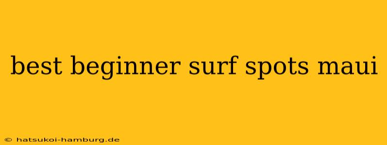 best beginner surf spots maui