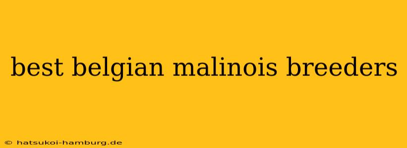 best belgian malinois breeders