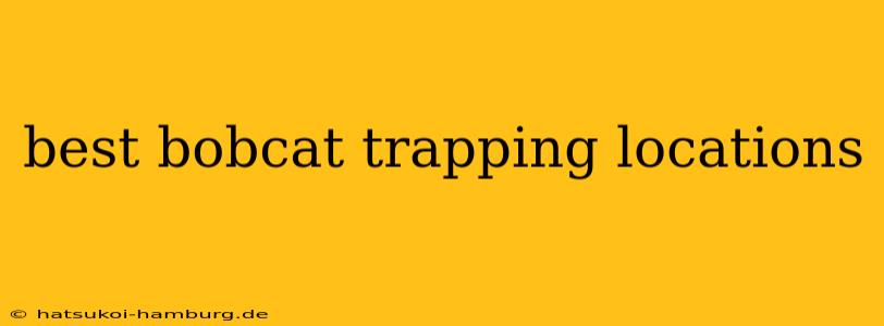 best bobcat trapping locations