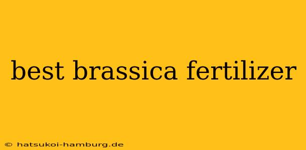 best brassica fertilizer