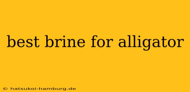best brine for alligator