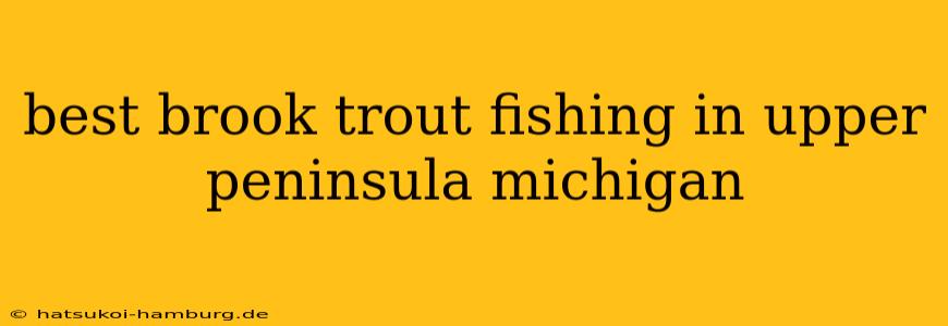 best brook trout fishing in upper peninsula michigan