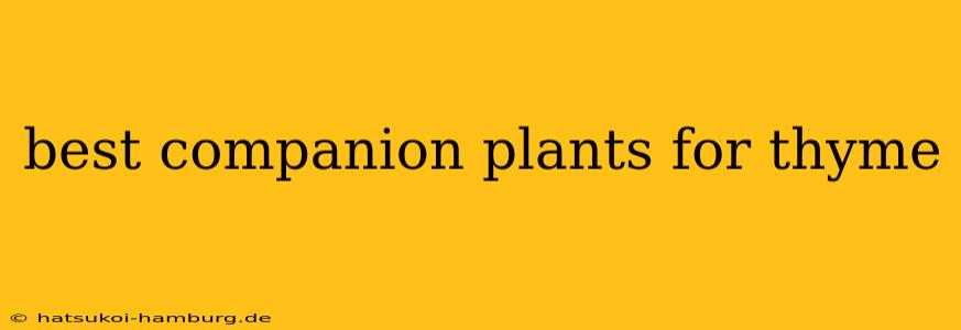 best companion plants for thyme