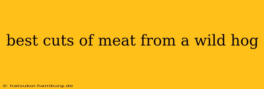 best cuts of meat from a wild hog