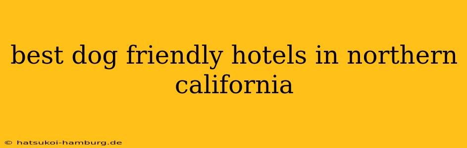 best dog friendly hotels in northern california